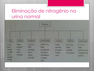 Eliminação de nitrogênio na
urina normal

 