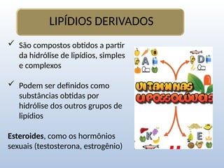  São compostos obtidos a partir
da hidrólise de lipídios, simples
e complexos
 Podem ser definidos como
substâncias obtidas por
hidrólise dos outros grupos de
lipídios
Esteroides, como os hormônios
sexuais (testosterona, estrogênio)
LIPÍDIOS DERIVADOS
 