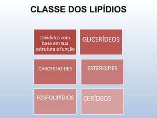 CLASSE DOS LIPÍDIOS
Divididos com
base em sua
estrutura e função
GLICERÍDEOS
CAROTENOIDES ESTEROIDES
FOSFOLIPÍDIOS CERÍDEOS
 