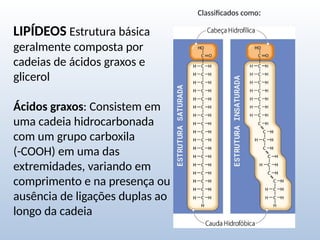 LIPÍDEOS Estrutura básica
geralmente composta por
cadeias de ácidos graxos e
glicerol
Ácidos graxos: Consistem em
uma cadeia hidrocarbonada
com um grupo carboxila
(-COOH) em uma das
extremidades, variando em
comprimento e na presença ou
ausência de ligações duplas ao
longo da cadeia
Classificados como:
 