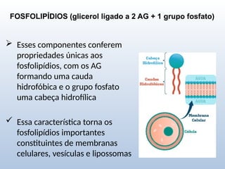FOSFOLIPÍDIOS (glicerol ligado a 2 AG + 1 grupo fosfato)
 Esses componentes conferem
propriedades únicas aos
fosfolipídios, com os AG
formando uma cauda
hidrofóbica e o grupo fosfato
uma cabeça hidrofílica
 Essa característica torna os
fosfolipídios importantes
constituintes de membranas
celulares, vesículas e lipossomas
 