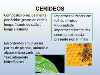 CERÍDEOS
Compostos principalmente
por ácidos graxos de cadeia
longa, álcoois de cadeia
longa e ésteres
Encontrados em diversas
partes de plantas, animais e
alguns microrganismos
"são altamente
hidrofóbicos
Impermeabilizantes em
folhas e frutos
Propriedade
impermeabilizante das
ceras também está
presente nos animais
 