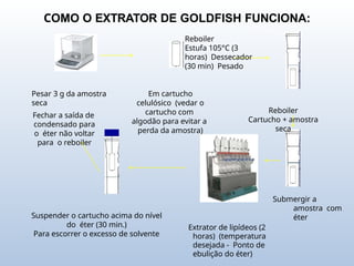 Pesar 3 g da amostra
seca
Reboiler
Estufa 105°C (3
horas) Dessecador
(30 min) Pesado
Fechar a saída de
condensado para
o éter não voltar
para o reboiler
Em cartucho
celulósico (vedar o
cartucho com
algodão para evitar a
perda da amostra)
Reboiler
Cartucho + amostra
seca
Suspender o cartucho acima do nível
do éter (30 min.)
Para escorrer o excesso de solvente
Submergir a
amostra com
éter
Extrator de lipídeos (2
horas) (temperatura
desejada - Ponto de
ebulição do éter)
COMO O EXTRATOR DE GOLDFISH FUNCIONA:
 