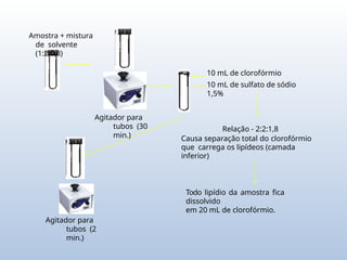Amostra + mistura
de solvente
(1:2:0,8)
Agitador para
tubos (30
min.)
10 mL de clorofórmio
10 mL de sulfato de sódio
1,5%
Relação - 2:2:1,8
Causa separação total do clorofórmio
que carrega os lipídeos (camada
inferior)
Todo lipídio da amostra fica
dissolvido
em 20 mL de clorofórmio.
Agitador para
tubos (2
min.)
 
