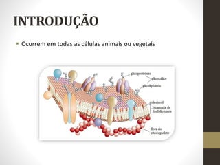 INTRODUÇÃO
 Ocorrem em todas as células animais ou vegetais
 