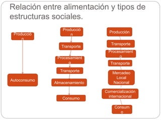 Relación entre alimentación y tipos de
estructuras sociales.
Producció
n
Autoconsumo
Producció
n
Transporte
Procesamient
o
Transporte
Almacenamiento
Consumo
Producción
Transporte
Procesamient
o
Transporte
Mercadeo
Local
Nacional
Comercialización
internacional
Consum
o
 