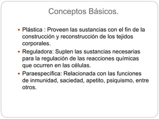 Conceptos Básicos.
 Plástica : Proveen las sustancias con el fin de la
construcción y reconstrucción de los tejidos
corporales.
 Reguladora: Suplen las sustancias necesarias
para la regulación de las reacciones químicas
que ocurren en las células.
 Paraespecífica: Relacionada con las funciones
de inmunidad, saciedad, apetito, psiquismo, entre
otros.
 