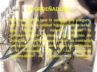 LA ORDEÑADORA
• Esto no significa que la ordeñadora asegure,
por si misma, la calidad higiénica de la leche.
Para lograrla se necesita realizar la
correspondiente limpieza y desinfección de
todas las superficies que entran en contacto
con la leche, tanto la ubre como las máquinas
y el adecuado aseo de las personas
responsables de ejecutar el ordeñe.
 
