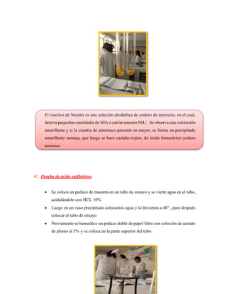 El reactivo de Nessler es una solución alcohólica de yoduro de mercurio, en el cual,
detecta pequeñas cantidades de NH3 o catión amonio NH4
+
. Se observa una coloración
amarillenta y si la cuantía de amoniaco presente es mayor, se forma un precipitado
amarillento naranja, que luego se hace castaño rojizo, de óxido bimecúrico-yoduro
amónico
C. Prueba de ácido sulfhídrico
 Se coloca un pedazo de muestra en un tubo de ensayo y se vierte agua en el tubo,
acidulándolo con HCL 10%
 Luego en un vaso precipitado colocamos agua y lo llevamos a 40° , para después
colocar el tubo de ensayo
 Previamente se humedece un pedazo doble de papel filtro con solución de acetato
de plomo al 5% y se coloca en la parte superior del tubo.
 