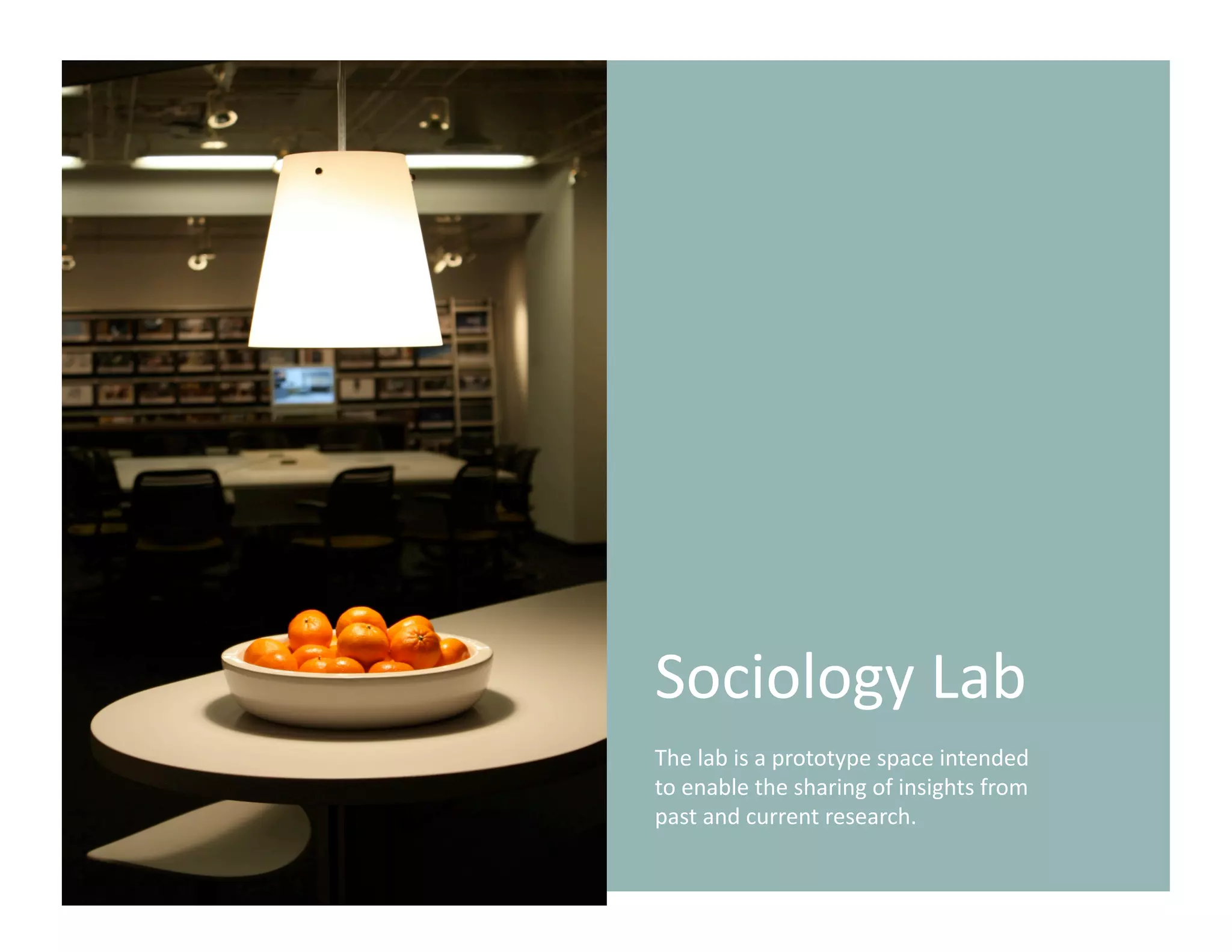 Sociology Lab 
The lab is a prototype space intended 
to enable the sharing of insights from 
past and current research.  
 