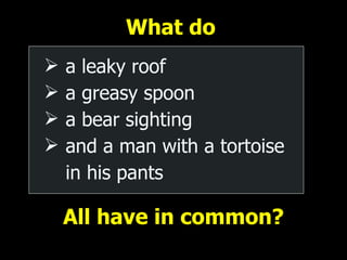 What do       a leaky roof a greasy spoon a bear sighting and a man with a tortoise in his pants        All have in common? 