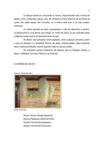 9


            O abacaxi pode ser consumido in natura, industrializado sob a forma de
geléia, vinho, cristalizado, passa, licor. Ao comprá-lo é bom observar se as folhas da
coroa não estão secas nem murchas, se o cheiro está bom e se não existem
manchas.
            O melhor período de safra compreende o mês de dezembro a janeiro.
O abacaxizeiro é uma planta que atinge um metro de altura, já era cultivada pelos
indígenas antes mesmo do descobrimento do país.
            No Brasil, são cultivadas várias espécies, como o abacaxi amarelo, porém
a que se destaca é a variedade Pérola, de polpa amarelo-pálida, sabor bastante
doce, casca esverdeada, mesmo quando maduro e pouca acidez.
            Os principais países produtores de abacaxi são os Estados Unidos, o
Brasil, a Malásia, Formosa, México e as Filipinas.




6.2 BARBA DE VELHO



Figura 2: Barba de velho




Fonte: Faz Fácil


            Nome Técnico: Musgo Espanhol
            Nomes Populares: Barba de Velho
            Família: Família Bromeliaceae
            Origem: Continente Americano.
 