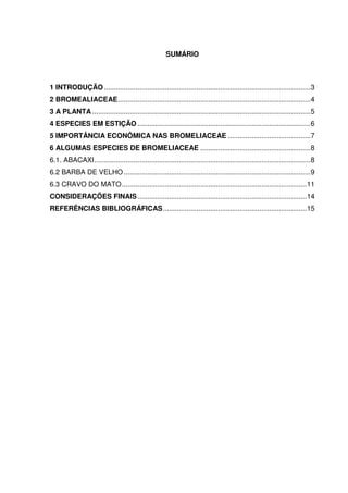 SUMÁRIO



1 INTRODUÇÃO ......................................................................................................... 3
2 BROMEALIACEAE .................................................................................................. 4
3 A PLANTA ............................................................................................................... 5
4 ESPECIES EM ESTIÇÃO ........................................................................................ 6
5 IMPORTÂNCIA ECONÔMICA NAS BROMELIACEAE .......................................... 7
6 ALGUMAS ESPECIES DE BROMELIACEAE ........................................................ 8
6.1. ABACAXI .............................................................................................................. 8
6.2 BARBA DE VELHO ............................................................................................... 9
6.3 CRAVO DO MATO .............................................................................................. 11
CONSIDERAÇÕES FINAIS ...................................................................................... 14
REFERÊNCIAS BIBLIOGRÁFICAS ......................................................................... 15
 