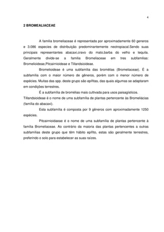 4


2 BROMEALIACEAE



            A familia bromeliaceae é representada por aproximadamente 60 generos
e 3.086 especies de distribuição predominantemente neotropiacal.Sendo suas
principais representantes abacaxi,cravo do mato,barba do velho e tequila.
Geralmente      divide-se   a    familia   Bromeliaceae     em     tres   subfamilias:
Bromelioideae,Pitcairnioideae e Tillandsioideae.
            Bromelioideae é uma subfamília das bromélias (Bromeliaceae). É a
subfamília com o maior número de gêneros, porém com o menor número de
espécies. Muitas das spp. deste grupo são epífitas, das quais algumas se adaptaram
em condições terrestres.
            É a subfamília de bromélias mais cultivada para usos paisagísticos.
Tillandsioideae é o nome de uma subfamília de plantas pertencente às Bromeliácias
(família do abacaxi).
            Esta subfamília é composta por 9 gêneros com aproximadamente 1250
espécies.
            Pitcairnioidaeae é o nome de uma subfamília de plantas pertencente à
família Bromeliaceae. Ao contrário da maioria das plantas pertencentes a outras
subfamílias deste grupo que têm hábito epífito, estas são geralmente terrestres,
preferindo o solo para estabelecer as suas raízes.
 