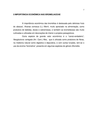 7


5 IMPORTÂNCIA ECONÔMICA NAS BROMELIACEAE



          A importância econômica das bromélias é destacada pelo delicioso fruto
do abacaxi, Ananas comosus (L.) Merril, muito apreciado na alimentação, como
produtora de bebidas, doces e sobremesas, e também as bromeliáceas são muito
cultivadas e utilizadas em decorações de interior e projetos paisagísticos.
          Outra espécie de grande valor econômico é o “caroá-verdadeiro”,
Neoglaziovia variegata (Arr. Cam.) Mez, que é utilizada como produtora de fibras,
na medicina natural como digestiva e depurativa, e com outras funções, tem-se o
uso da enzima “bromelina”, presente em algumas espécies do gênero Bromélia.
 