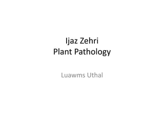 Ijaz Zehri
Plant Pathology
Luawms Uthal
 