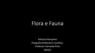 Flora e Fauna
Katiuscia Gonçalves
Fotografia Ambiental e cientifica
Professor: Fernando Pires
2016/2
 