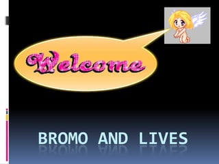 BROMO AND LIVES
 