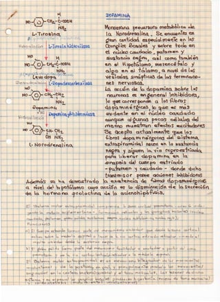 ft4v00Clt'OO t'feUA.noro

.

met.ból,CG ~

lQ. ~oraarenalin~ Se. encJ.&Qnrt:J t!J
Qtar CGnt~doÓ apec:ial mcui~ ef as

Cta~ ~ So~oles

---=:~

y so'ore todo en

ei nuee.o c.cw,cbdo, ~"'·"' y

.SUlbCcia n•2~,. cud coma tt.~t~

e.."

e Htpotólamo1 mere.ncétulo y __
o.lgo en e.l tQamo 4 a ru:~el de leas
~e~~aUQ~ sn~ft'c:c.~ de leas ferm•nuc.o-

net neT'IlOS03.
lA o.cc.ÓY' ~ a. aopa.minC1 &obre lor
neuronc.t1 ~ en_~enerc:.l nhbdom.,

o ~« cor~etto~ a lo~ f',:>l'b~

<io pa lY1 e r~CGS o ~~.~e er MBS
Q"t.' denie e.n e.l riúc.e.o ~tlclQ.dO
(UJI~-U.e ctitmaS pocas c:e~ c:kJ

~t:.1VP f'tld~n Qfe~S ~ci-b.dot~
St. Qc.ep"h:s o.~ttlelme.nie ~..u.e. os~bras ~m· net2'c:.as clel Qad-tMA.
~1r~ramciq, tCl~ •Y a su.~to-~tiq
Y'ift ~ si~e~ lo. '(;a Ol~o~ir~
f<lT'a hberaC" clop tt ""nC Q~ Q.

ro

AÓe.mas ~

8fQ.p~·~ de, CJJeC'
~triQ.d.o
- fu.ittmen ~ ~da.cLo - ~~ <tlc:ho
b<W'M•sor ~ QCcioYet Mhbi'dof'QS

~~rCAd.o a. ~,~~Ytic:.t ~ .f~t'Q.P d.opa.""V•ret~
Cl ñ'le clc ~ ~()táaMo e».yo a.c:ci6n et la ~ismnUt.cSl d4e lo. Sc.ececl6n
*=- a ~o "'ff0 llG frooc.:,n~ ck. o a.de.fonir~f.g·,s.
oo..

 