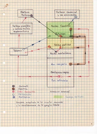 ~
._.___.____-+c-·

(J

...........__ _ -+-----'----'- ~

•

 