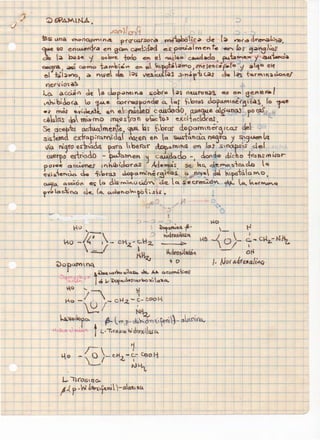 1
... J:r

' .. ,

¡...

~ ~ ~

~s t.Ana ~on~rn•n4 p-r<l"tüSOia f'lle-aboi:c~ d~ [~ ~tod'~"~~;,a..
~ ~ en~ira en e~ ~-:c!'ad e.'"pe<.lalmen t. ~lo~ ~;¡~)¡o,f
~ 4- P-~ '-} &Q~ todo e--. e """'tlQo c....dado. fk-Lt.a~~~ 'j ~~~
~a J ;¡¡Q C$~0 t~n"b~"" en e. ~'Yftá~W'o ¡ (YtJenc;r.to '-/ a1o e"f

e ~bW)()l a. nwel

de.

-.:>~ v~iCLL(~s .l'h~f-h ~J

de l~ t4LfMn~cJ.o~e.r

ne'f'ilo~e~

lo. c3. CQ.Ó( d~ a cor~t~Hr8 i;Ob(e ~S O~TO'Y~S, 'OS e~ ee..fe.t'•/
1'h~bid.o(a , lo l.c.A.e cor~po~de ~ lqr f,o"t"a$ Jopcuw~(~lé•i. (o
·~ ,.Ms '-'#;~'c.. e.f e fl~O c<W.doc:io, w~e. a!g..u.nru fo(jlj
ceu.ló.s c;p m~rno M4,Qsron Q~ctol ~xdtctcldreJ.
0e C1Cef~ (ke.+~me'_te. ~~S' t,b-rar clopctm~ér~t t.a..t c{e 't
s iste.m<l e~-frQpirQmlda.{ '{(te.n e" la su.rlClntl.a n~I'Cl J s'9.uen ~
vio. ni~ro ~s:riack F"'o l be.rar ~o.M1Cl en los s'napS1s de.( .
c.u.erfo est~'O.dO - ~aM.el' ~ cc:W.ci~Cldo - • ckn&Q Jic ho ft'a nstru.ror
po¡-ee aCc.LoYe,J' tt'h¡b1do1"a.S . Ade,.._4S, se. h~ c:!~~o~-c-a..cl.o lq
e"~~e"~ J.a i;b-rCU d.ofo.Ml'né f~f~Q1 C4 , 1~e. J.c¡ nrofci{a M.O
~o. Ol~Ó" e~ la J.¡~""·,Y.uci6"' d.e. l~ secre~"'lo... ~or~q
f-# o~'~Q c1~ (~ <A~EI"O~~~ÓQ ~.l~ •

re

*-

---

L. -¡-i(OSl Q()..
W!~,f~ru t~ -o.l(U MA

11_ r-

1

 