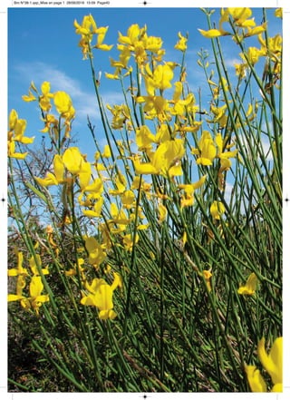 Bro N°38-1.qxp_Mise en page 1 28/06/2016 15:09 Page40
 