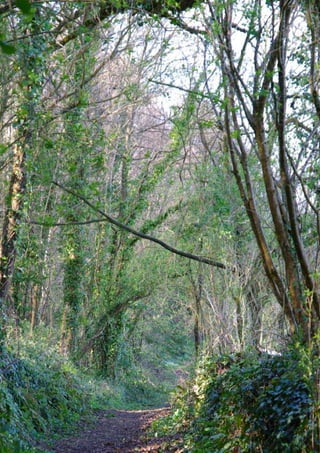 Bro Lokireg décembre 2016