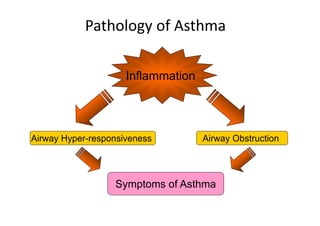 Pathology of Asthma
Inflammation
Airway Hyper-responsiveness Airway Obstruction
Symptoms of Asthma
 