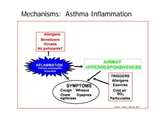 Mechanisms: Asthma Inflammation
Source: Peter J. Barnes, MD
 