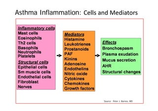Asthma Inflammation: Cells and Mediators
Source: Peter J. Barnes, MD
 