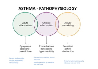 Asthma
ASTHMA ‐ PATHOPHYSIOLOGY
Genetic predisposition Inflammation underlies disease
Intrinsic vulnerability
Atopy/allergy
processes
Phenotype varies by individual
Clinical symptoms also vary by
individual and over time
and over time
 