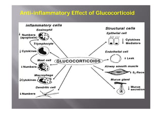 Anti-inflammatory Effect of Glucocorticoid
 