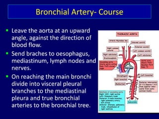 Bronchial Artery- Course
 Leave the aorta at an upward
angle, against the direction of
blood flow.
 Send braches to oesophagus,
mediastinum, lymph nodes and
nerves.
 On reaching the main bronchi
divide into visceral pleural
branches to the mediastinal
pleura and true bronchial
arteries to the bronchial tree.
 