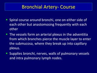 Bronchial Artery- Course
 Spiral course around bronchi, one on either side of
each other but anastomosing frequently with each
other
 The vessels form an arterial plexus in the adventitia
from which branches pierce the muscle layer to enter
the submucosa, where they break up into capillary
plexus.
 Supplies bronchi, nerves, walls of pulmonary vessels
and intra pulmonary lymph nodes.
 