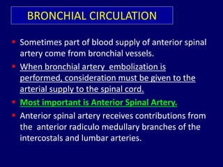 BRONCHIAL CIRCULATION
 Sometimes part of blood supply of anterior spinal
artery come from bronchial vessels.
 When bronchial artery embolization is
performed, consideration must be given to the
arterial supply to the spinal cord.
 Most important is Anterior Spinal Artery.
 Anterior spinal artery receives contributions from
the anterior radiculo medullary branches of the
intercostals and lumbar arteries.
 