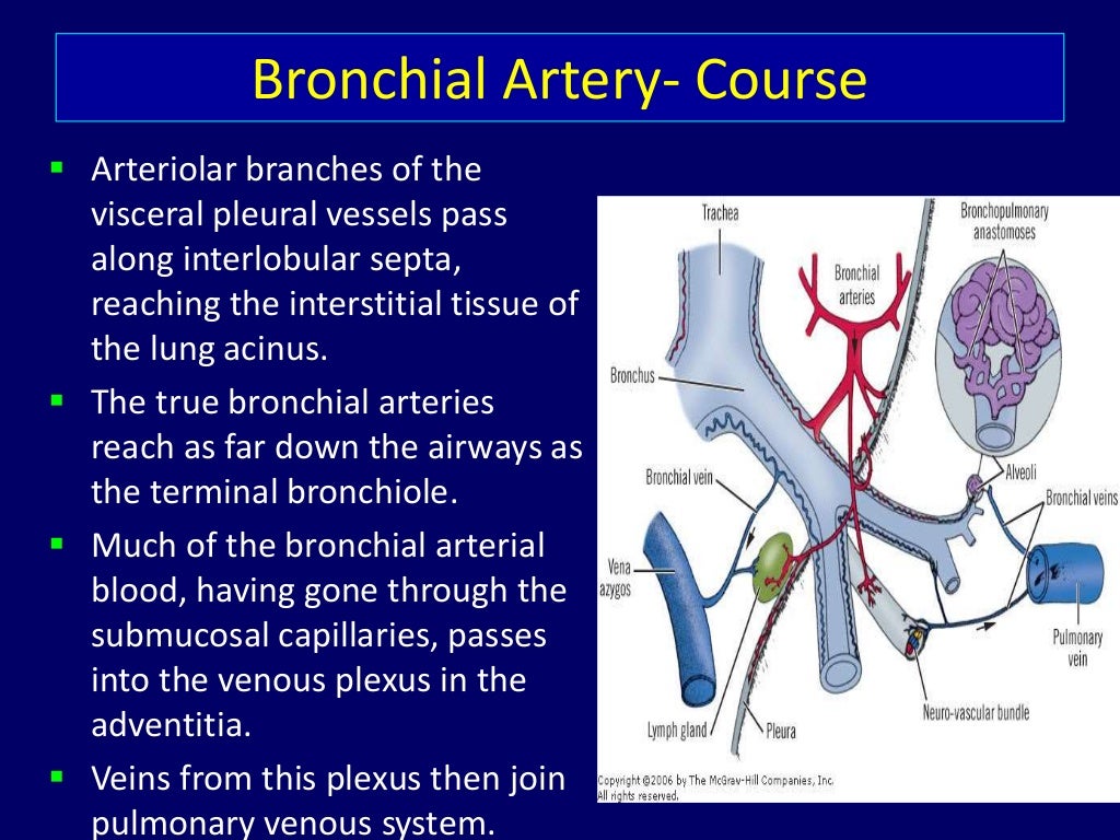 Bronchial Artery Embolization By Dr.Tinku Joseph