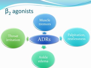 β2 agonists 
Muscle 
tremors 
ADRs 
Palpitation, 
restlessness 
Ankle 
edema 
Throat 
irritation 
 