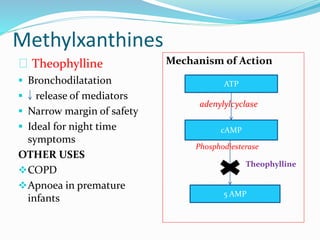 Methylxanthines 
Theophylline 
 Bronchodilatation 
 release of mediators 
 Narrow margin of safety 
 Ideal for night time 
symptoms 
OTHER USES 
COPD 
Apnoea in premature 
infants 
Mechanism of Action 
ATP 
adenylylcyclase 
cAMP 
Phosphodiesterase 
Theophylline 
5 AMP 
 