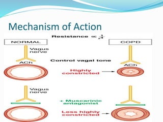 Mechanism of Action 
 