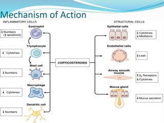 Mechanism of Action 
 