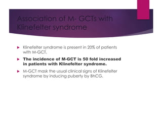 Association of M- GCTs with
Klinefelter syndrome
 Klinefelter syndrome is present in 20% of patients
with M-GCT.
 The incidence of M-GCT is 50 fold increased
in patients with Klinefelter syndrome.
 M-GCT mask the usual clinical signs of Klinefelter
syndrome by inducing puberty by BhCG.
 