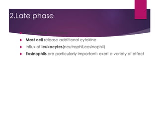 2.Late phase
 starts 4 to 8 hours later
 Mast cell release additional cytokine
 Influx of leukocytes(neutrophil,eosinophil)
 Eosinophils are particularly important- exert a variety of effect
 