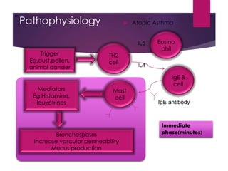 Pathophysiology  Atopic Asthma
Trigger
Eg.dust,pollen,
animal dander
TH2
cell
IL5
IL4
Eosino
phil
IgE B
cell
Mast
cell
IgE antibody
Mediators
Eg.Histamine,
leukotrines
Bronchospasm
Increase vascular permeability
Mucus production
Immediate
phase(minutes)
 