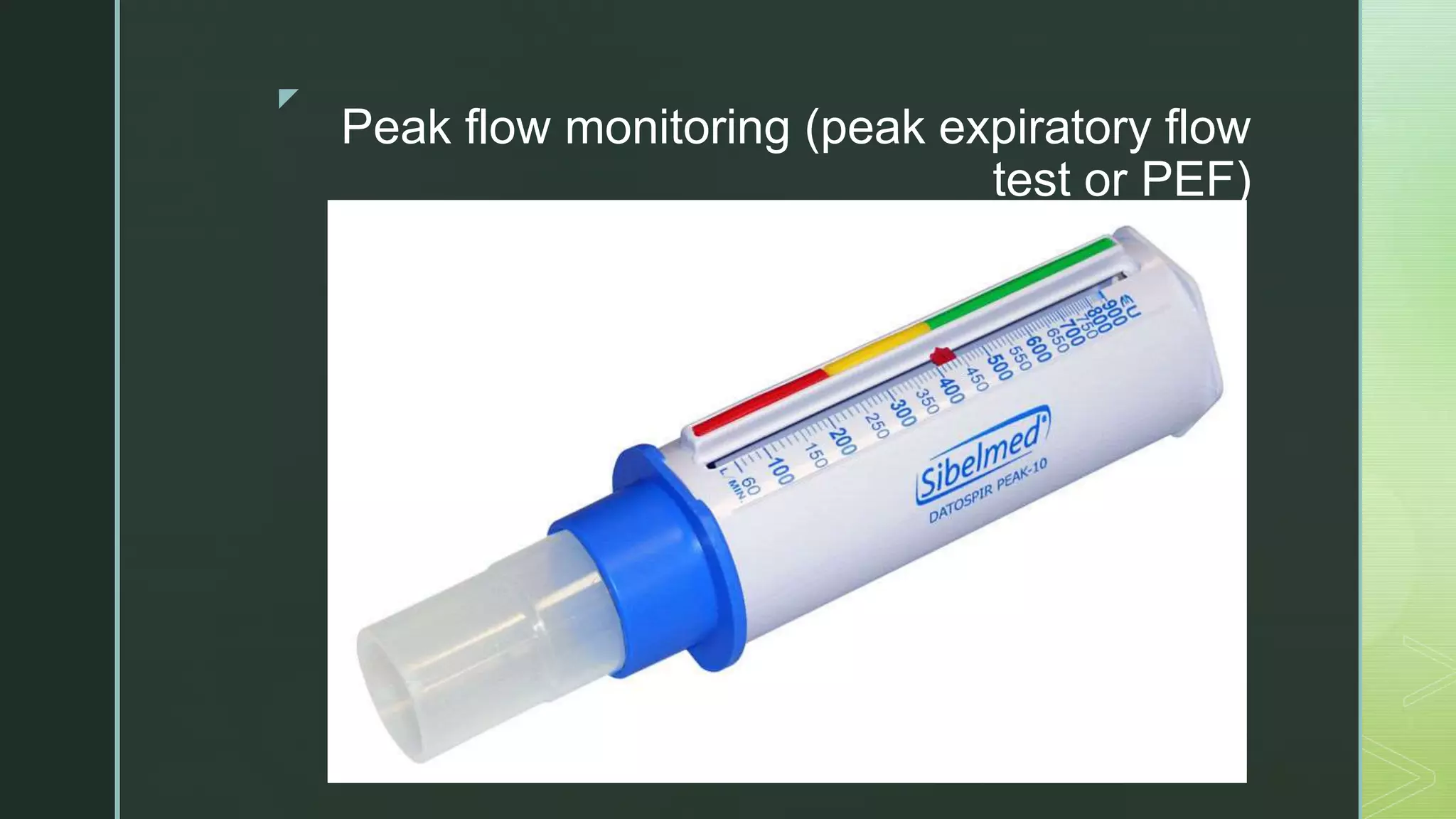 Pef Reading Bronchial asthma | PPTX