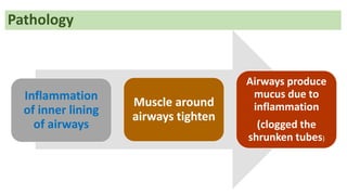 Inflammation
of inner lining
of airways
Muscle around
airways tighten
Airways produce
mucus due to
inflammation
(clogged the
shrunken tubes)
Pathology
 