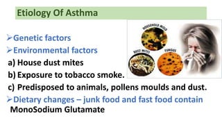 Etiology Of Asthma
Genetic factors
Environmental factors
a) House dust mites
b) Exposure to tobacco smoke.
c) Predisposed to animals, pollens moulds and dust.
Dietary changes – junk food and fast food contain
MonoSodium Glutamate
 