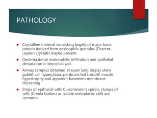 PATHOLOGY
 Crystalline material consisting largely of major basic
protein derived from eosinophils granules (Charcot-
Leyden crystals) maybe present.
 Oedema,dense eosinophilic infiltration and epithelial
denudation in bronchial wall
 Airway samples obtained at open lung biopsy show
goblet cell hyperplasia, peribronchial smooth muscle
hypertrophy and apparent basement membrane
thickening
 Strips of epithalial cells Curschmann’s spirals, clumps of
cells (Creola bodies) or isolate metaplastic cells are
common
 
