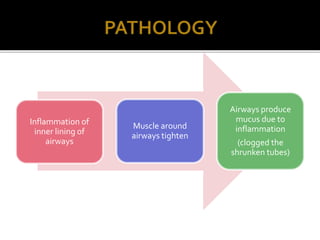Inflammation of
inner lining of
airways
Muscle around
airways tighten
Airways produce
mucus due to
inflammation
(clogged the
shrunken tubes)
 