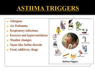  Allergens
 Air Pollutants
 Respiratory infections
 Exercise and hyperventilation
 Weather changes
 Gases like Sulfur dioxide
 Food, additives, drugs
 