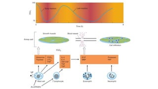 Bronchial asthma pathophysiology & classification of drugs | PPTX